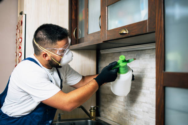 Best Residential Pest Control  in Westwood, KS