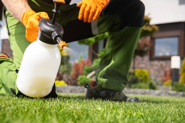 Best Commercial Pest Control Services  in Westwood, KS